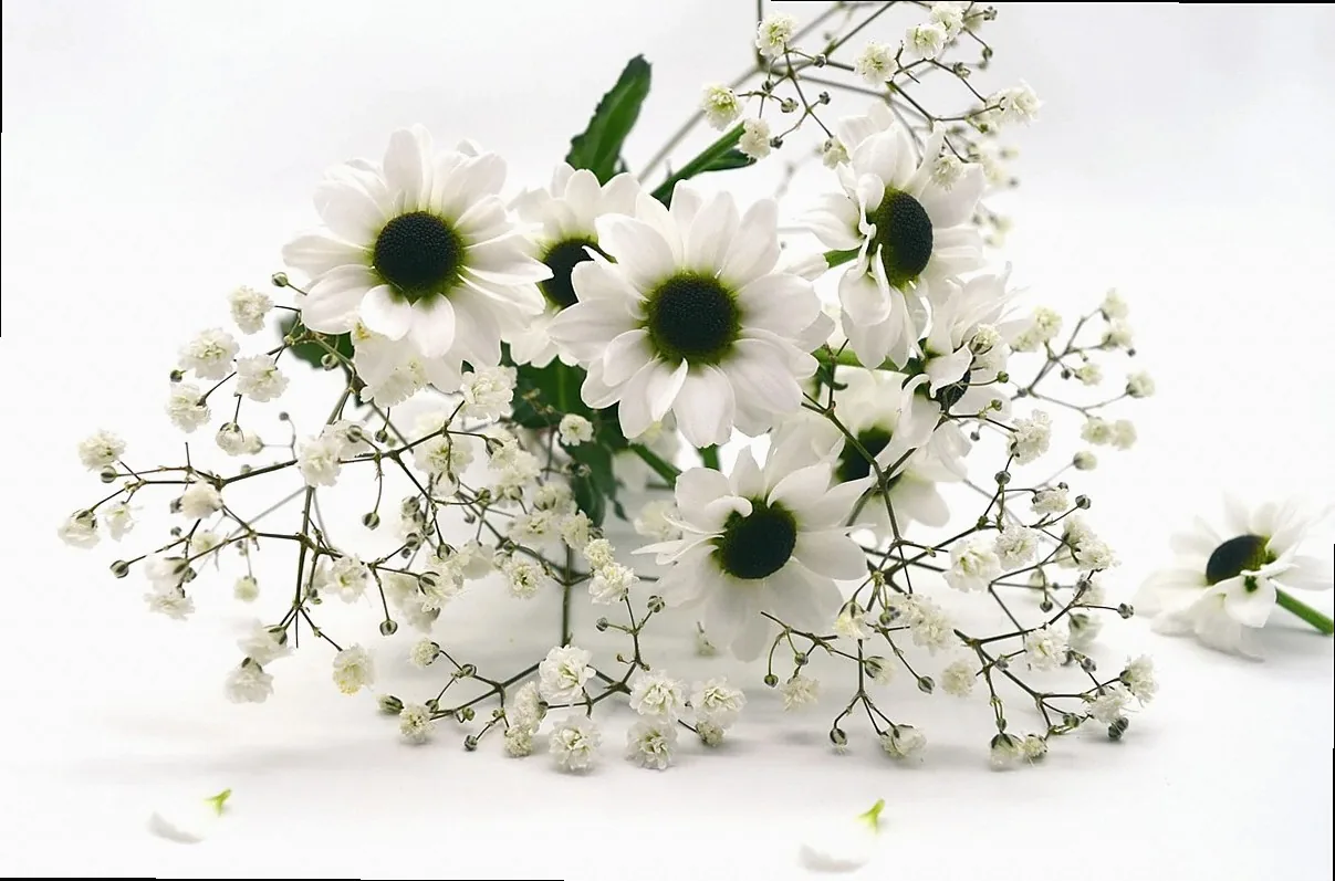 白の祭壇花セット（標準）